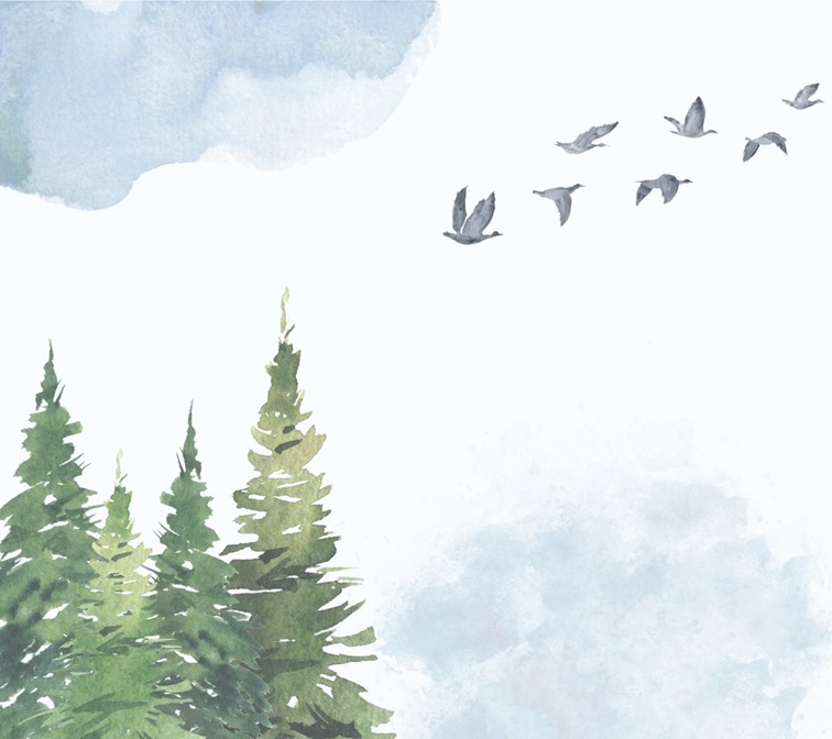 A group of trees, a cloud and a flock of birds